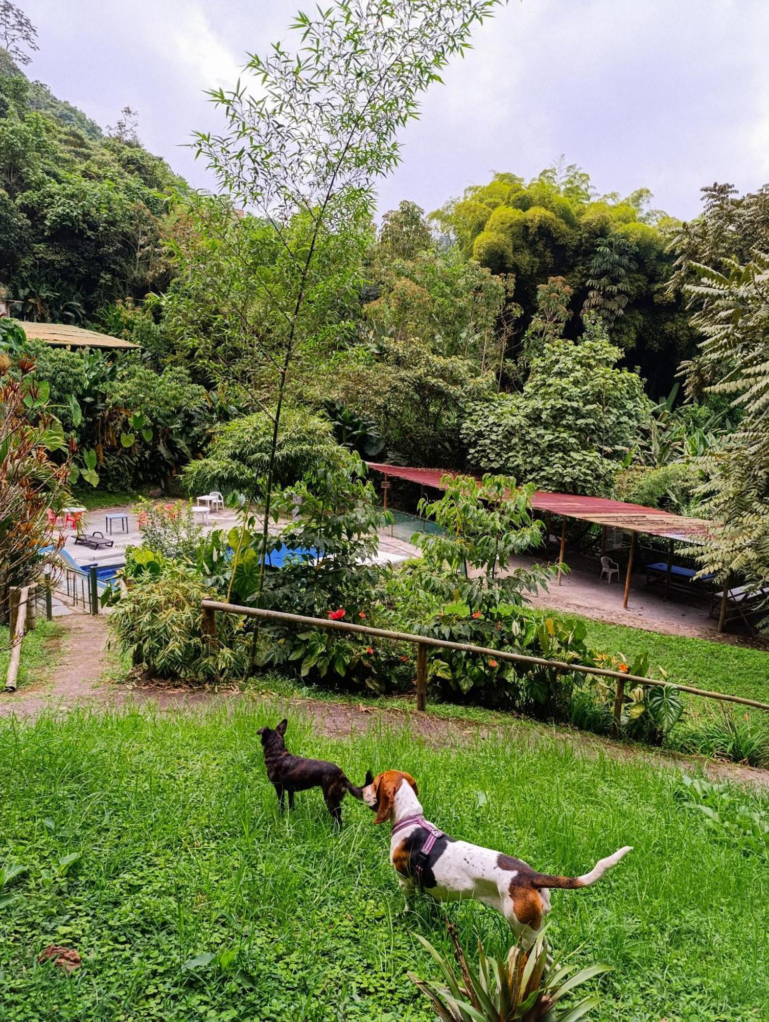 Eco Lodge La Juanita มานิซาเลส ภายนอก รูปภาพ