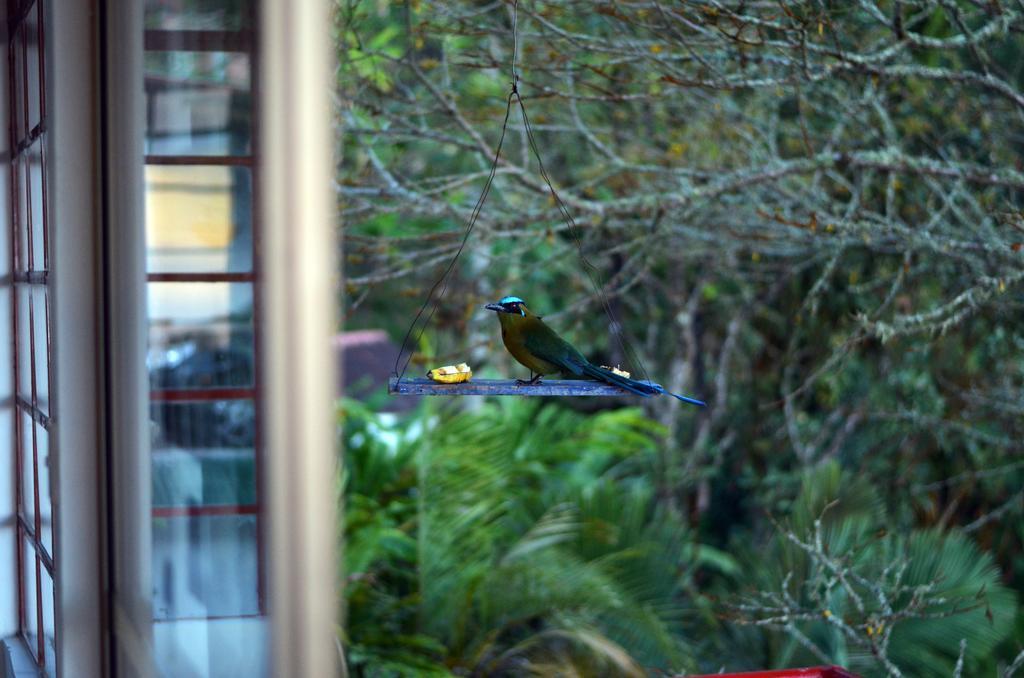Eco Lodge La Juanita มานิซาเลส ภายนอก รูปภาพ